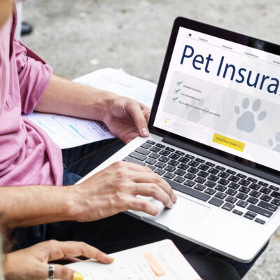 5 Smart Reasons to Buy Pet Insurance