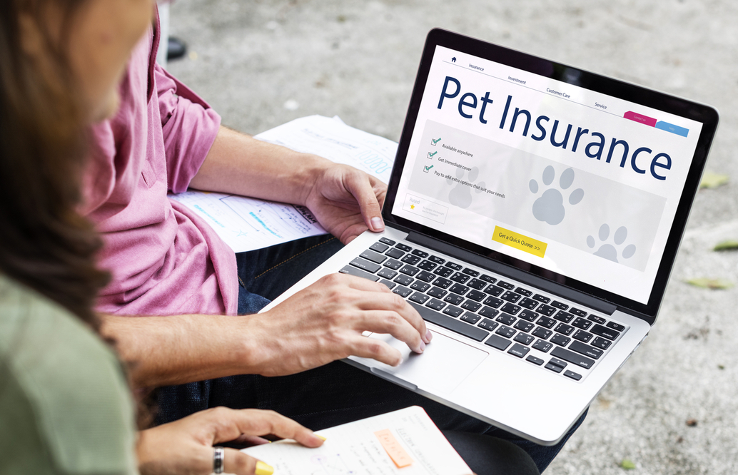 5 Smart Reasons to Buy Pet Insurance