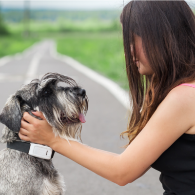 7 Smart Tech Devices for Pets