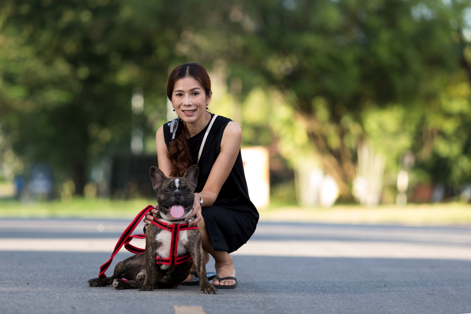 6 Things Vets Wish Every Dog Owner Would Stop Doing